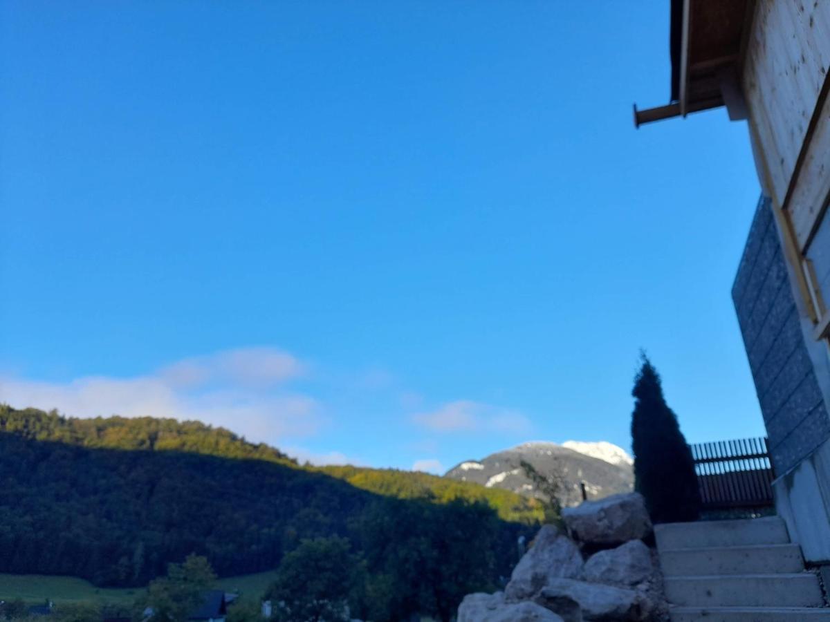 Auszeit Am Weinbuehel Apartment บาดอิสชิล ภายนอก รูปภาพ